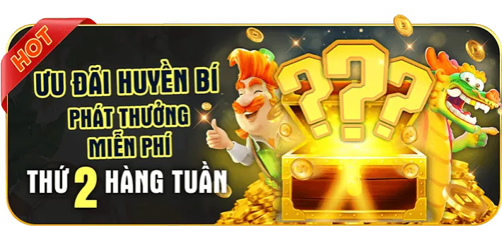 Khuyến Mãi Mới